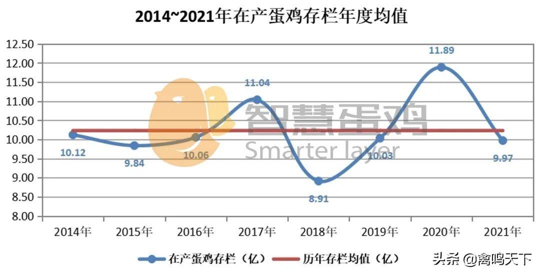 最新蛋鸡存栏数据统计深度解析