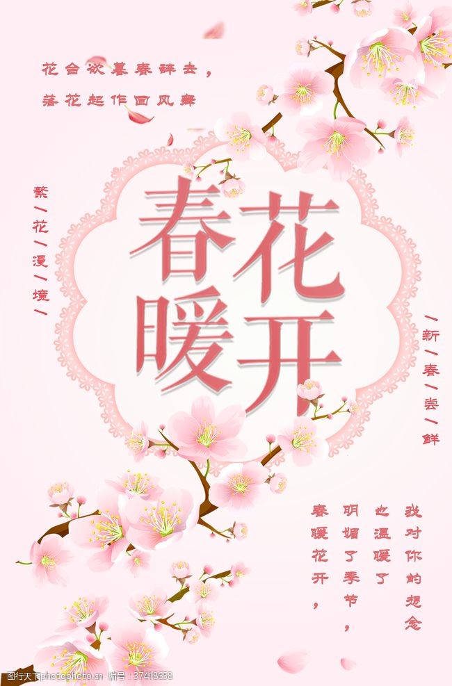 春暖之际，花开之地，揭秘最新地址的奥秘